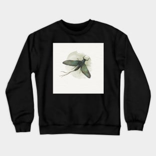 Stonefly Crewneck Sweatshirt